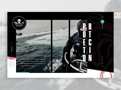 Concept Sea Sheperd animals black white concept sea sea sheperd webdesign