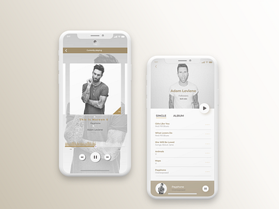 Music player daily dailychallenge dailyui009 gold grey iphone music music app musicplayer player silver ui