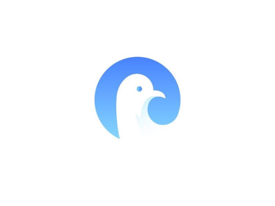 Pigeon azerbaijan brand creative design illustration logo pigeon