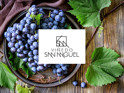 Viñedo San Miguel #WebSite css desig design diseño diseñoweb guanajuato html 5 león webdesign website