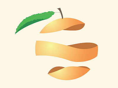 Spiral Fruit: Orange branding fruit graphic design illustration illustrator logo orange photoshop visual design