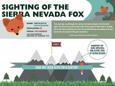 Sierra Nevada Fox Infographic for The California Aggie animal fox illustration infographic posterart