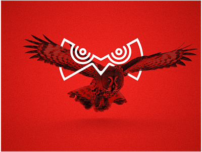 Owl - Mark branding icon identity logo logotype mark owl symbol
