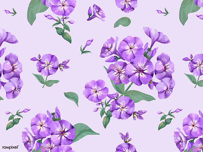 Flora Patterns: Phlox design flora floral flower graphic graphic design hand drawn illustration pattern pattern design purple vector water color