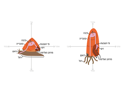 Slug Ancestors