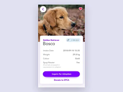 Adoption App adoption app back button cards design dog heart icons info information minimal mobile app pet simple stats ui ux