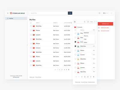 CTemplar Drive bulck ctemplar dashboard drive file file storage folder secure secure platform table upload web web application