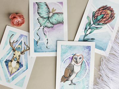 Kabloomski handcrafted illustations animals barn owl deer handcrafted handmade illustration ink luna moth moth owl protea watercolor