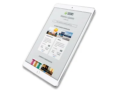 Weekly Update Email branding design email email banner email campaign updates