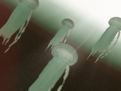 The Arrival abstract after effects c4d design experiments jellyfish motion noise visual