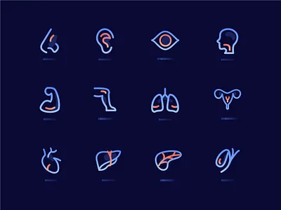 人体器官图标 ico ui 图标 应用 设计