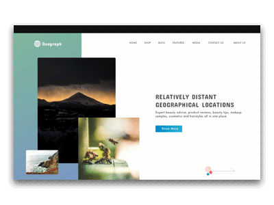 Geograph Landing Page Design animation dashboard design dribbble task typography ux vector website