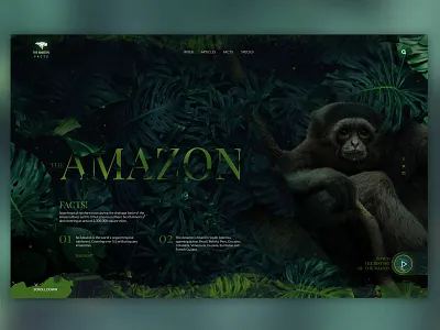 Amazon Facts amazon animal design flat graphic icon illustration logo typography ui vector web webdesign website