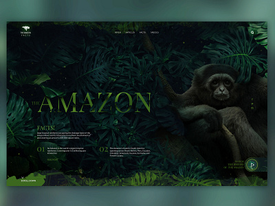 Amazon Facts amazon animal design flat graphic icon illustration logo typography ui vector web webdesign website
