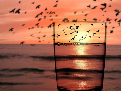 Birds in the glass art manipulation photoshop