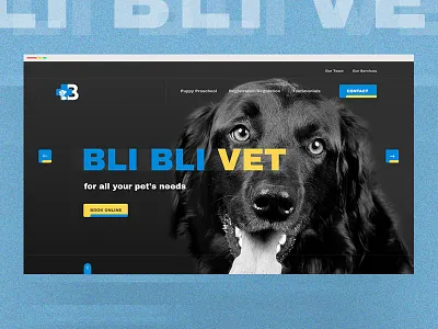 Bli Bli Vet - Homepage Alternative art direction concept flat graphic interaction interaction design landing page minimal pet photography studio typography ui uiux ux vet visual web web design website