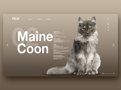 Felis Page 2 cat interface layout modern ui ux