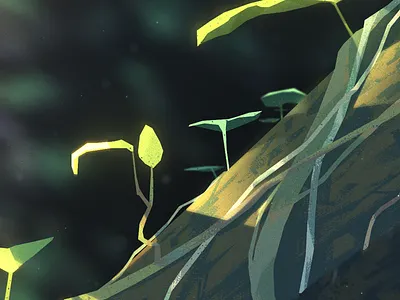 Morning Light illustration