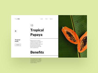 01 Daily layout explorations: TropicWiki cleandesign concept landingpage layout minimalist ui uidesign uiux