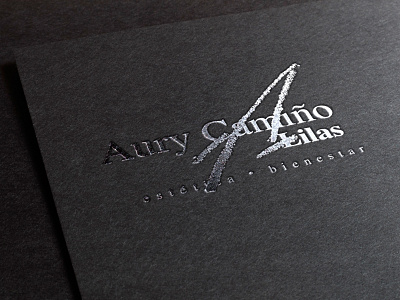 2010 - Illustrator & Photoshop branding logo