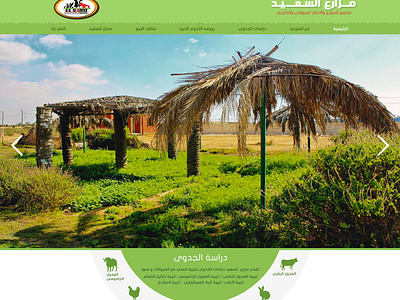 Alsaied Farms design layout layoutdesign photoshop ui ui designer web webdesign website