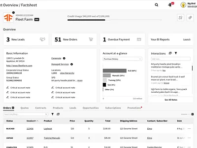 Sales Account Overview account dashboard data data visualisation sales wireframe