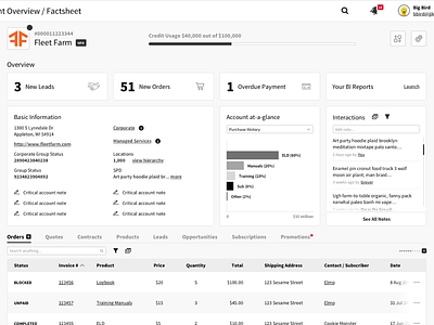 Sales Account Overview account dashboard data data visualisation sales wireframe