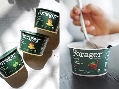 Forager Illustrations design fruit hand drawn illustration