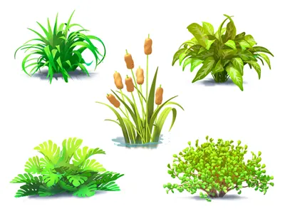 Bushes bushes game gameart illustration maya mobile painting photoshop plants