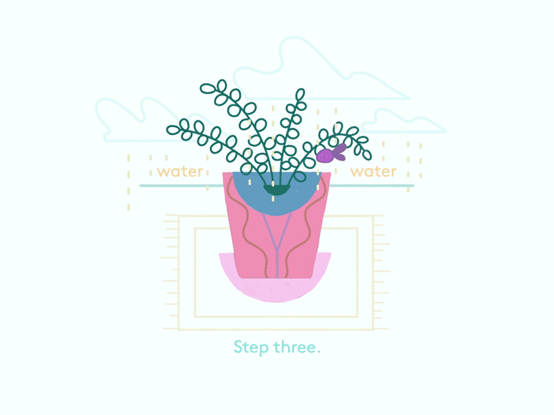 Fern love. 2d 2d animation adobe animate animation cell animation design fern frame by frame illustration inspiration love motion motion design plant storytelling typography