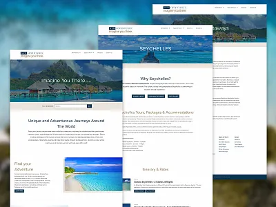 NewAdventures.com design & development ui web design web development