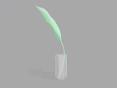 plant 🌱 design flat illustration plant plant illustration ui vector