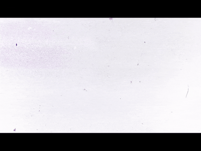 A quote... atlanta design douglasadams illustration motiongraphics witness witnessco yesael sumalave