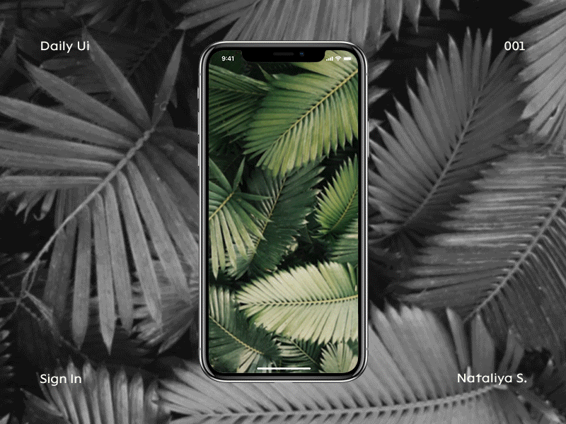 Sign In animation app dailyui 001 design mobile sign in ui ux