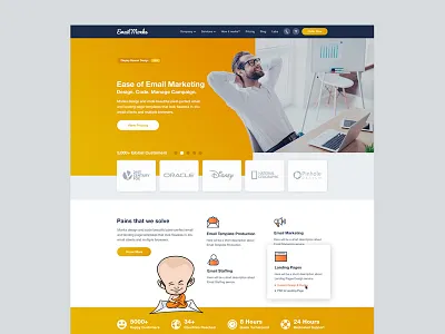 Email Marketing Service ui ux design web deisgn