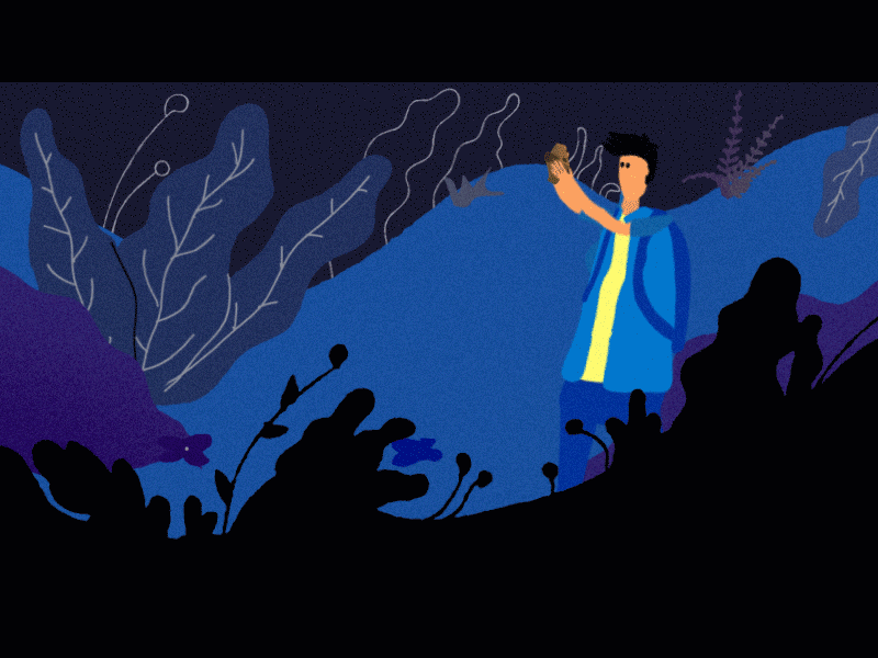 forest after affects animation character gif illustration motion graphics