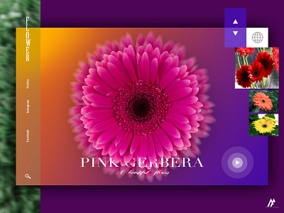 PINK GERBERA CONCEPT - 2018 art design flat flower flower clipart flower illustration graphic art graphic arts icon illustration logo minimal modern nature popular simple web website website banner website concept