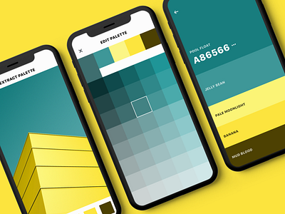 Palette Extraction Concept app apple color colour colour palette design export extract flat grid ios iphone minimal mobile palette phone photo ui ux vector