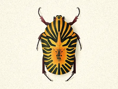 Mexican Flower Chafer beetle bug coleoptera entomology flower illustration insect mexico vector wild life