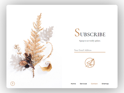 Subscribe dailyui minimal page design subscribe ui white background