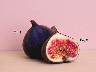 Fig fig joke photography pun