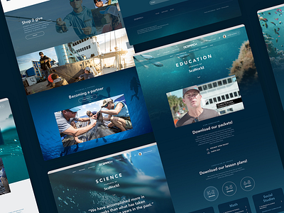 Ocearch - Full website preview interaction nature ocean responsive science ui underwater ux web wildlife