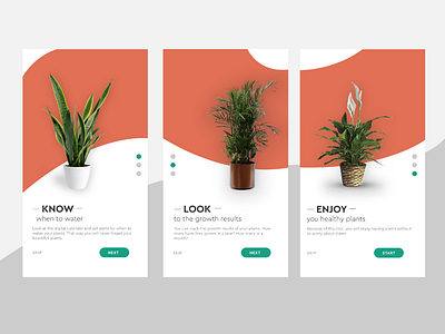 UI Daily day #023 023 daily daily 100 challenge daily ui 023 daily ui 23 dailyui day 23 design flow illustration onboarding onboarding screens oranje plants typography ui uidaily uidesign