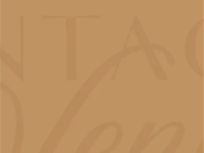 Custom Type Detail brand design branding design feminine graphic design identity identity design logo logo design mark type typography