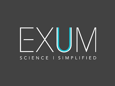 Exum Logo branding design icon logo vector