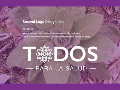 Todos brand branding design graphic design logo