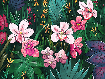 orchid garden 2d illustration nature photoshop