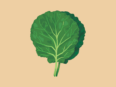 Lettuce alface comida diet digital paint digital painting food illustration lettuce nutrition nutritional nutritionist