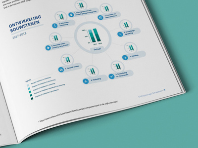 Functional and clean visual clean design diagram graph infographic magazine report visual vizzie