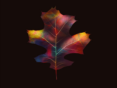 Leaf abstract leaf leaves nature organic